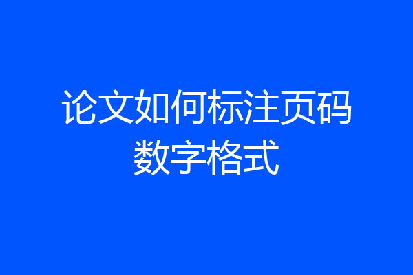 论文如何标注页码数字格式