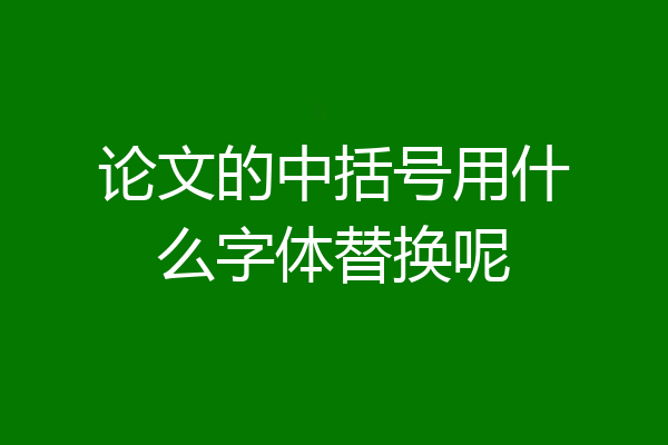 论文的中括号用什么字体替换呢