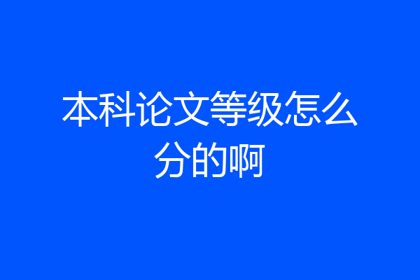 本科论文等级怎么分的啊
