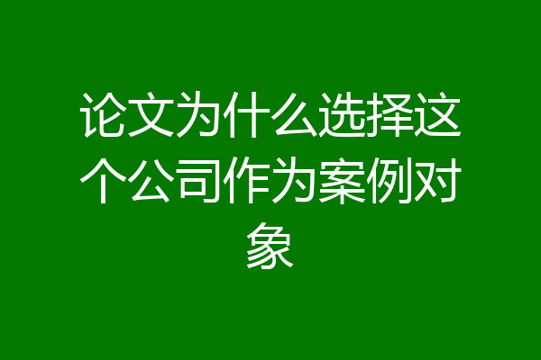 论文为什么选择这个公司作为案例对象