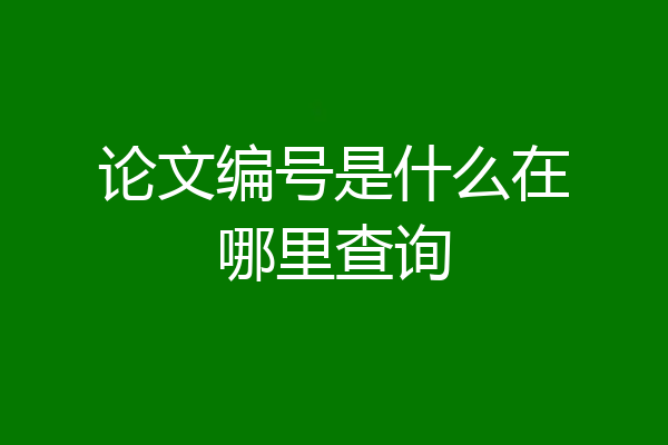 论文编号是什么在哪里查询