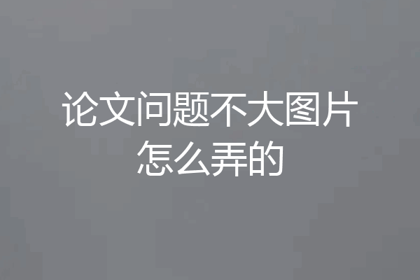 论文问题不大图片怎么弄的