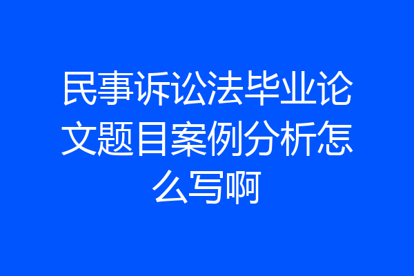 民事诉讼法毕业论文题目案例分析怎么写啊