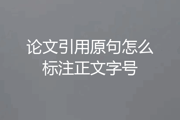 论文引用原句怎么标注正文字号