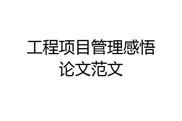 工程项目管理感悟论文范文