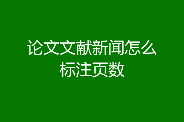 论文文献新闻怎么标注页数