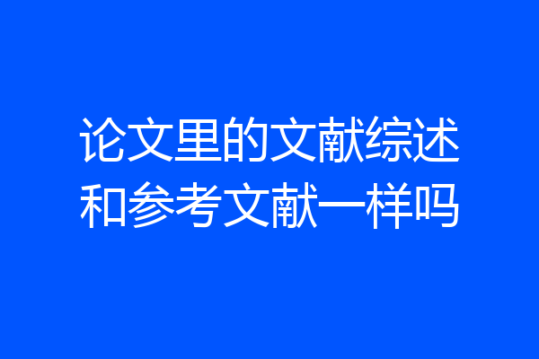 论文里的文献综述和参考文献一样吗