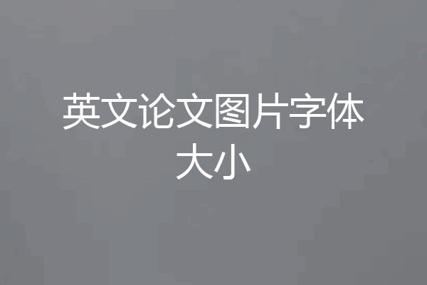 英文论文图片字体大小