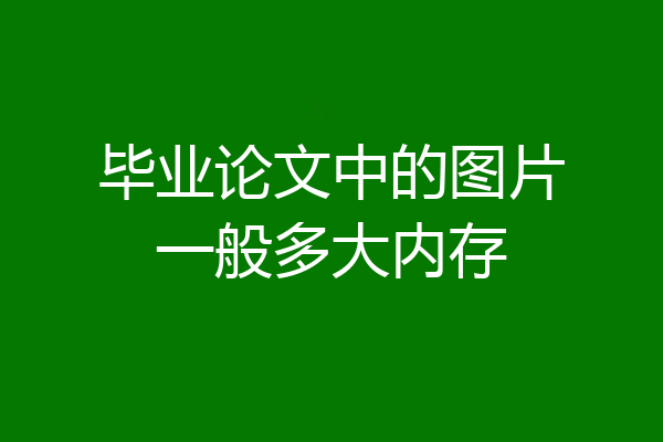 毕业论文中的图片一般多大内存