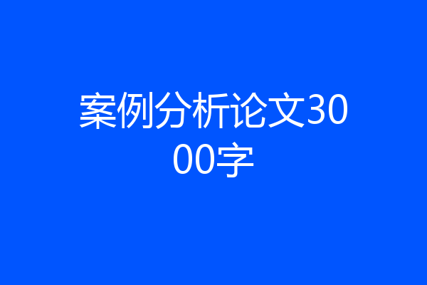 案例分析论文3000字