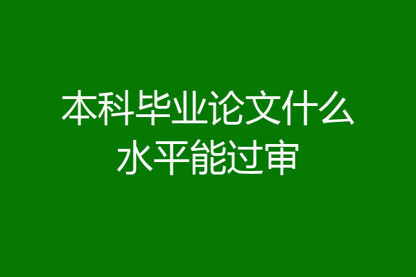 本科毕业论文什么水平能过审