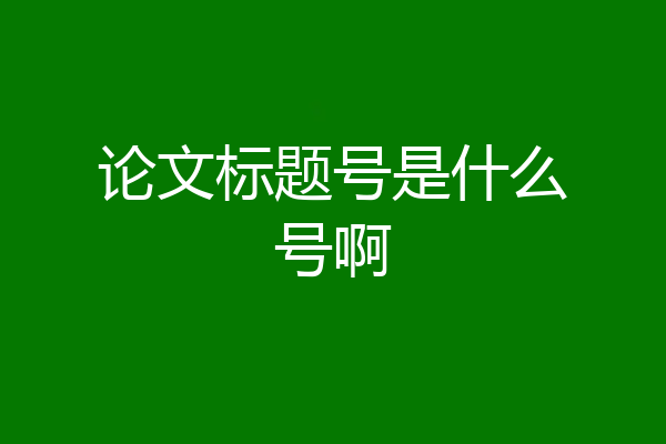 论文标题号是什么号啊