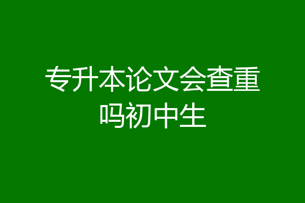 专升本论文会查重吗初中生