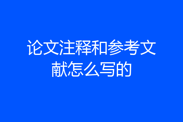 论文注释和参考文献怎么写的