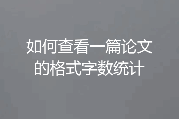 如何查看一篇论文的格式字数统计
