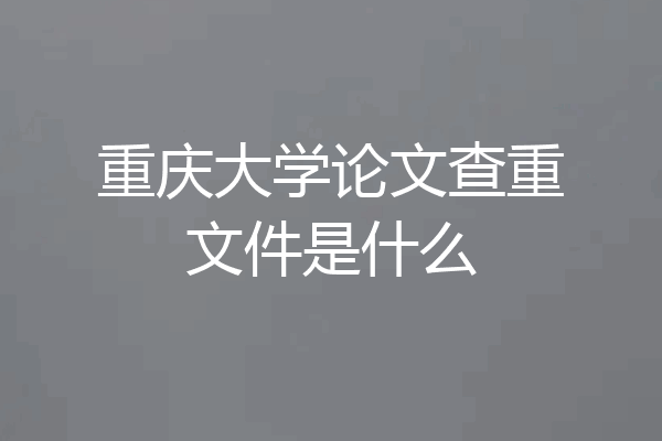 重庆大学论文查重文件是什么