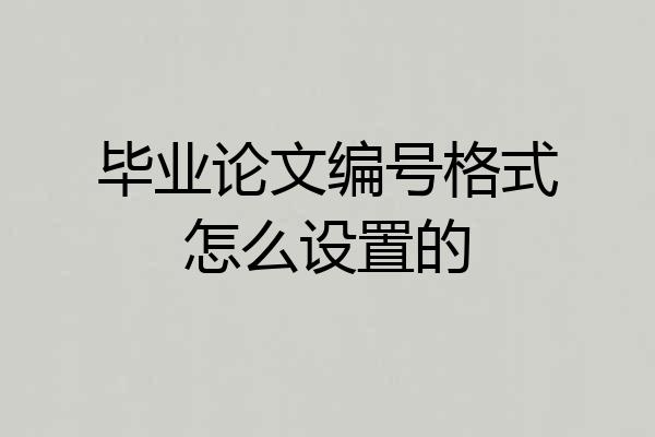 毕业论文编号格式怎么设置的
