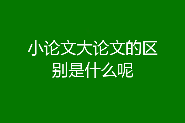小论文大论文的区别是什么呢
