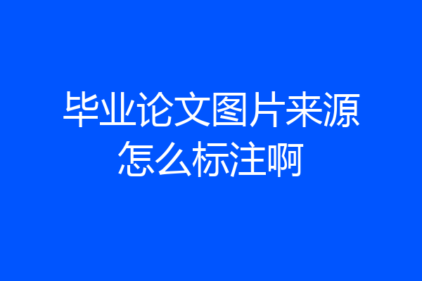 毕业论文图片来源怎么标注啊