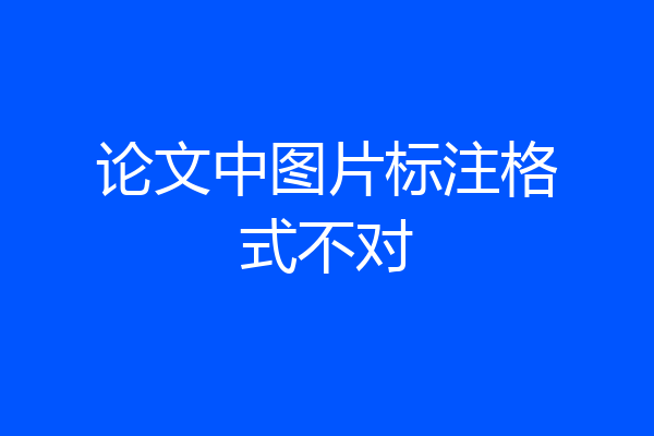 论文中图片标注格式不对