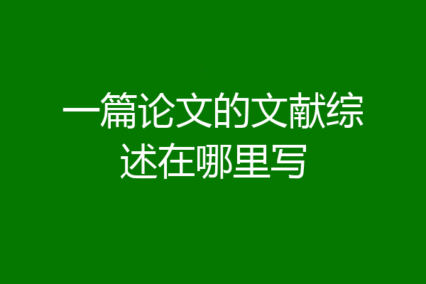 一篇论文的文献综述在哪里写
