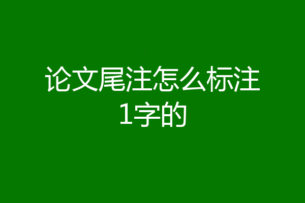 论文尾注怎么标注1字的