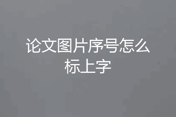 论文图片序号怎么标上字