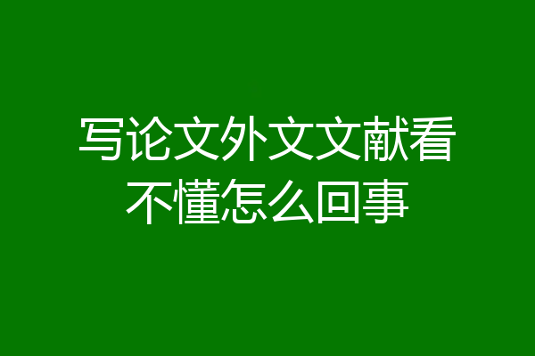 写论文外文文献看不懂怎么回事
