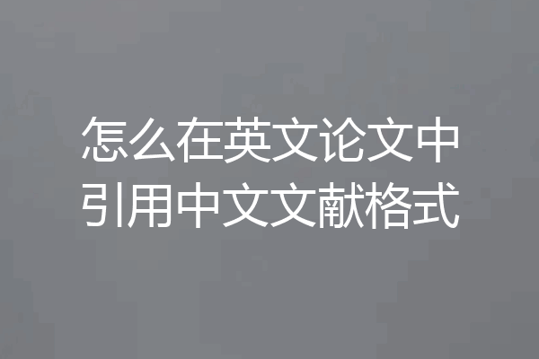怎么在英文论文中引用中文文献格式