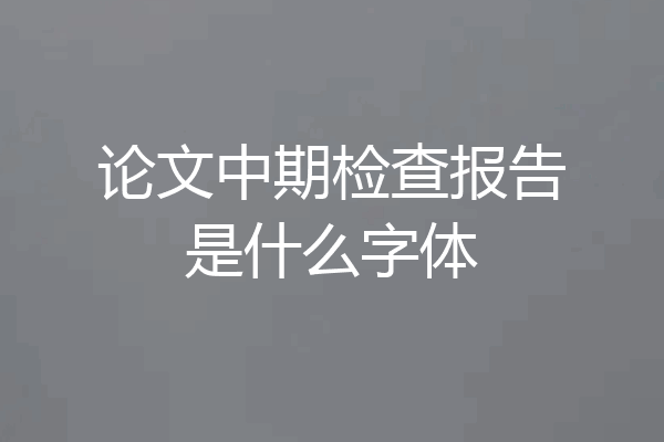 论文中期检查报告是什么字体
