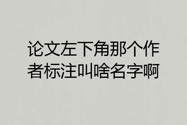 论文左下角那个作者标注叫啥名字啊