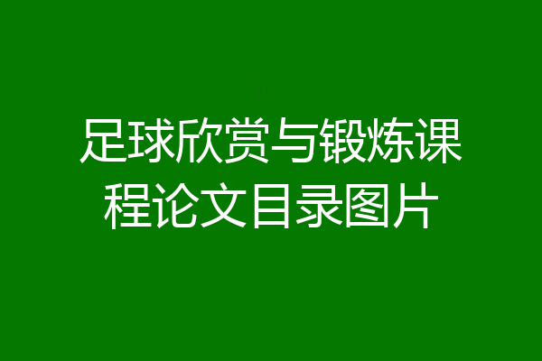 足球欣赏与锻炼课程论文目录图片