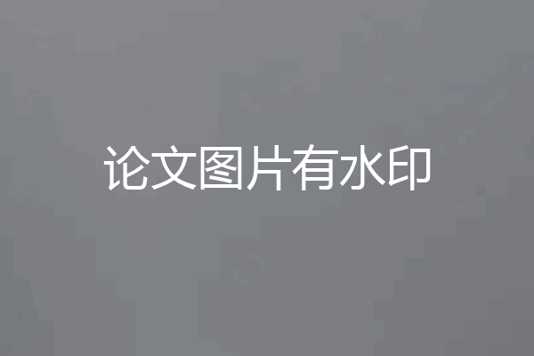 论文图片有水印