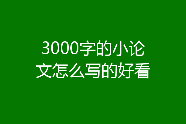 3000字的小论文怎么写的好看