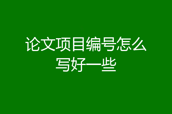 论文项目编号怎么写好一些