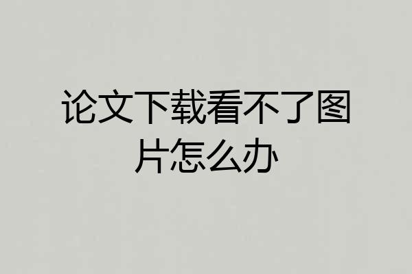 论文下载看不了图片怎么办