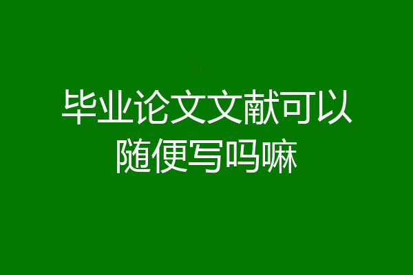毕业论文文献可以随便写吗嘛