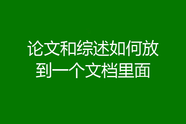 论文和综述如何放到一个文档里面