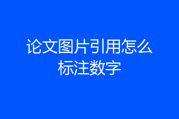 论文图片引用怎么标注数字