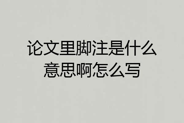 论文里脚注是什么意思啊怎么写