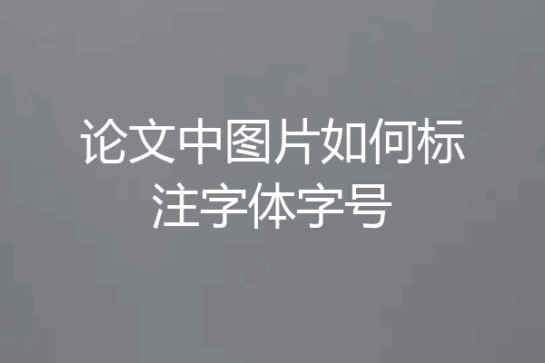 论文中图片如何标注字体字号