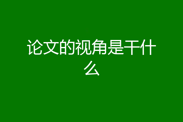 论文的视角是干什么