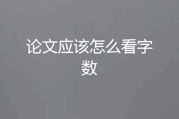 论文应该怎么看字数