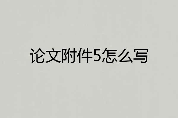 论文附件5怎么写