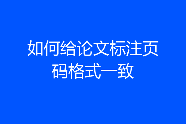 如何给论文标注页码格式一致