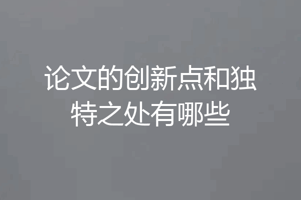 论文的创新点和独特之处有哪些