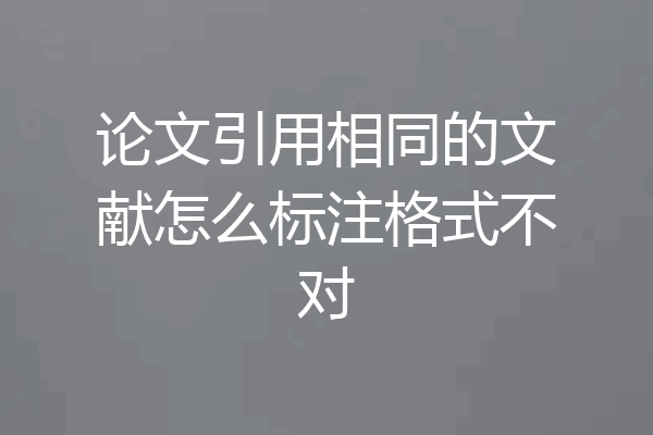 论文引用相同的文献怎么标注格式不对