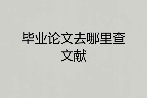 毕业论文去哪里查文献