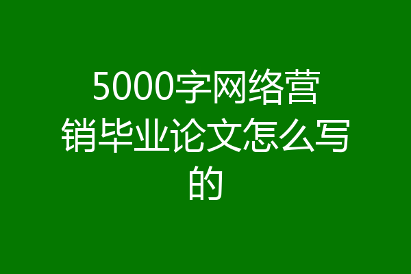 5000字网络营销毕业论文怎么写的