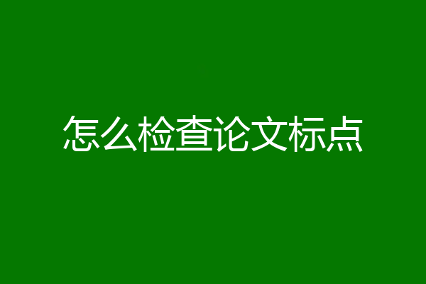 怎么检查论文标点